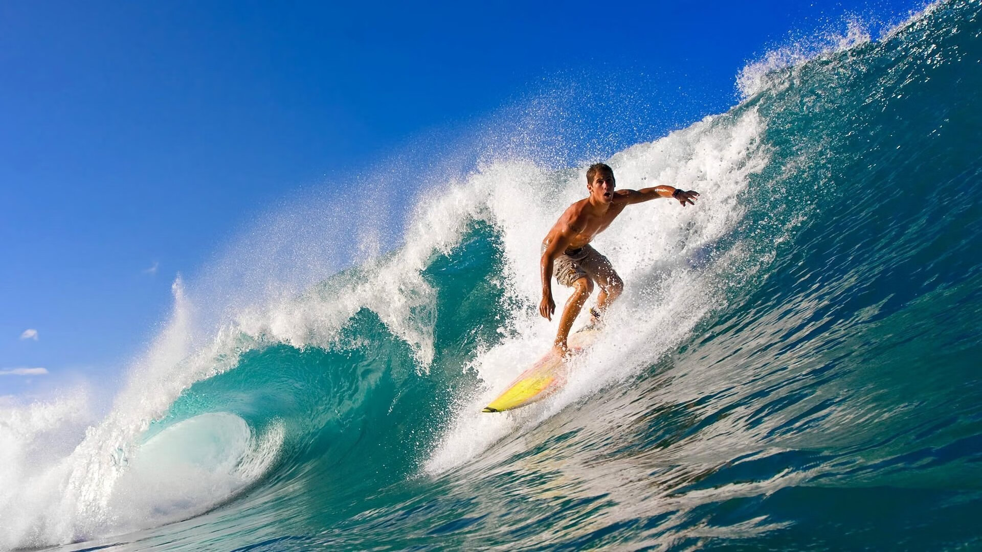 全明星赛投票开启,粉丝最期待的明星是谁?,全明星赛第一轮投票