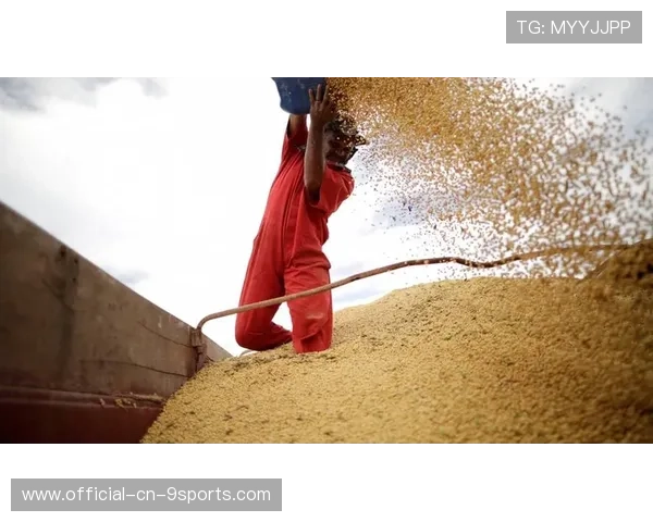 美国大豆出口受挫，中国暂停采购4个月，美国大豆还能不能进口到中国